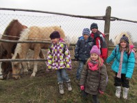 /album/a20-12-vanocni-les/vanocni-les-6-jpg/